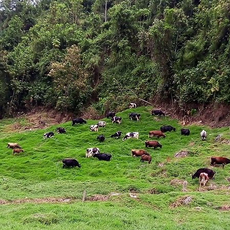 La Lucia Villa Manizales Exteriör bild