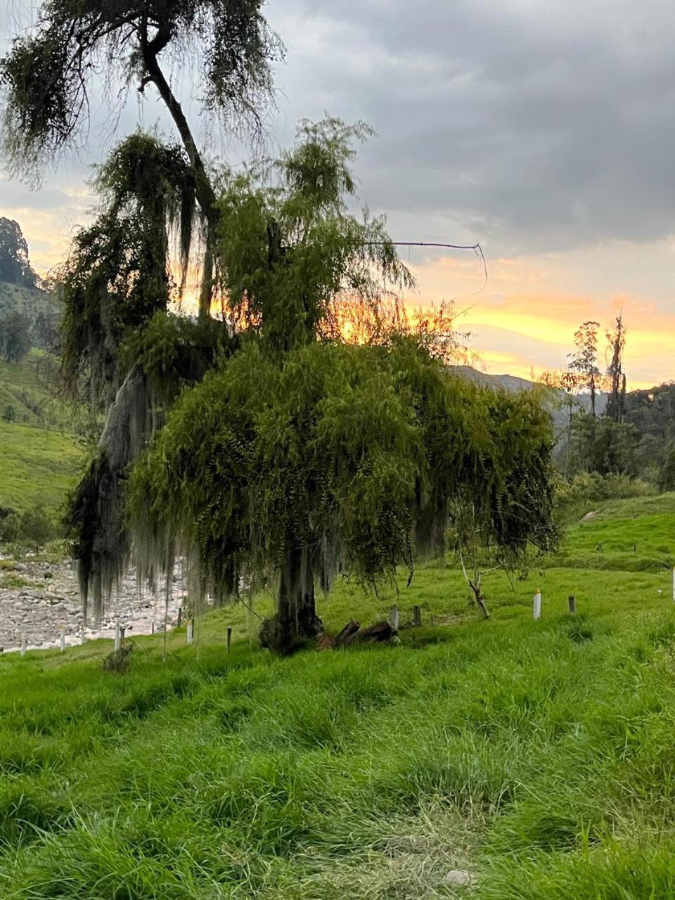 La Lucia Villa Manizales Exteriör bild