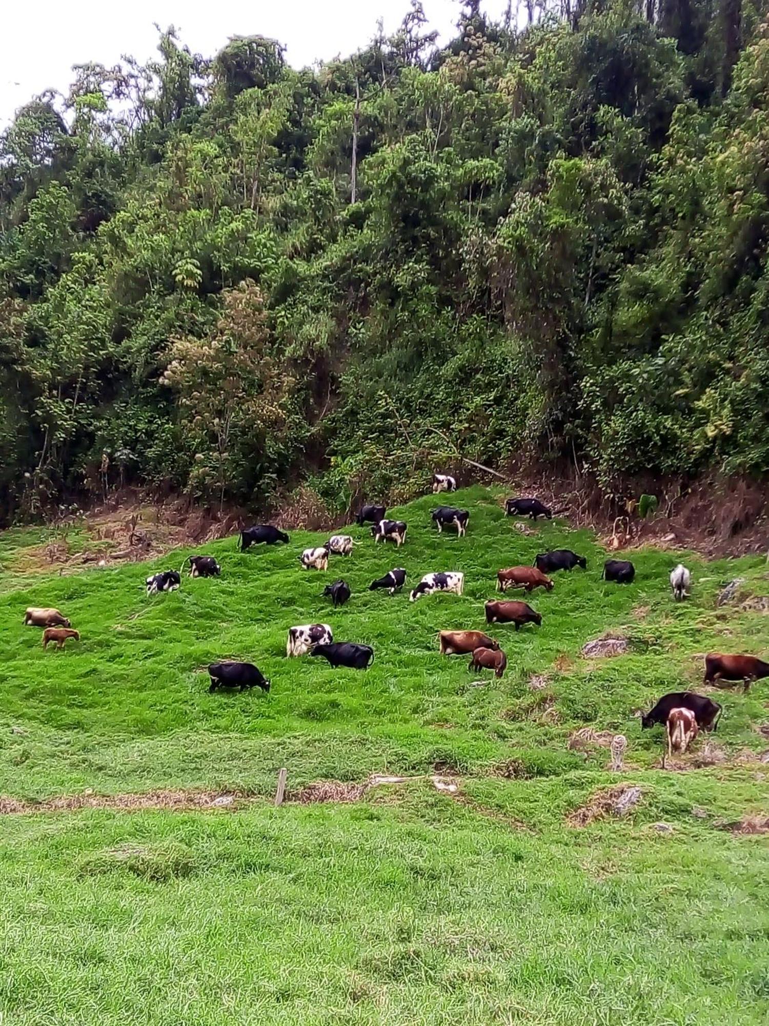 La Lucia Villa Manizales Exteriör bild